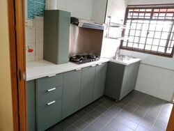 Blk 13 Holland Vista (Queenstown), HDB 3 Rooms #623563731